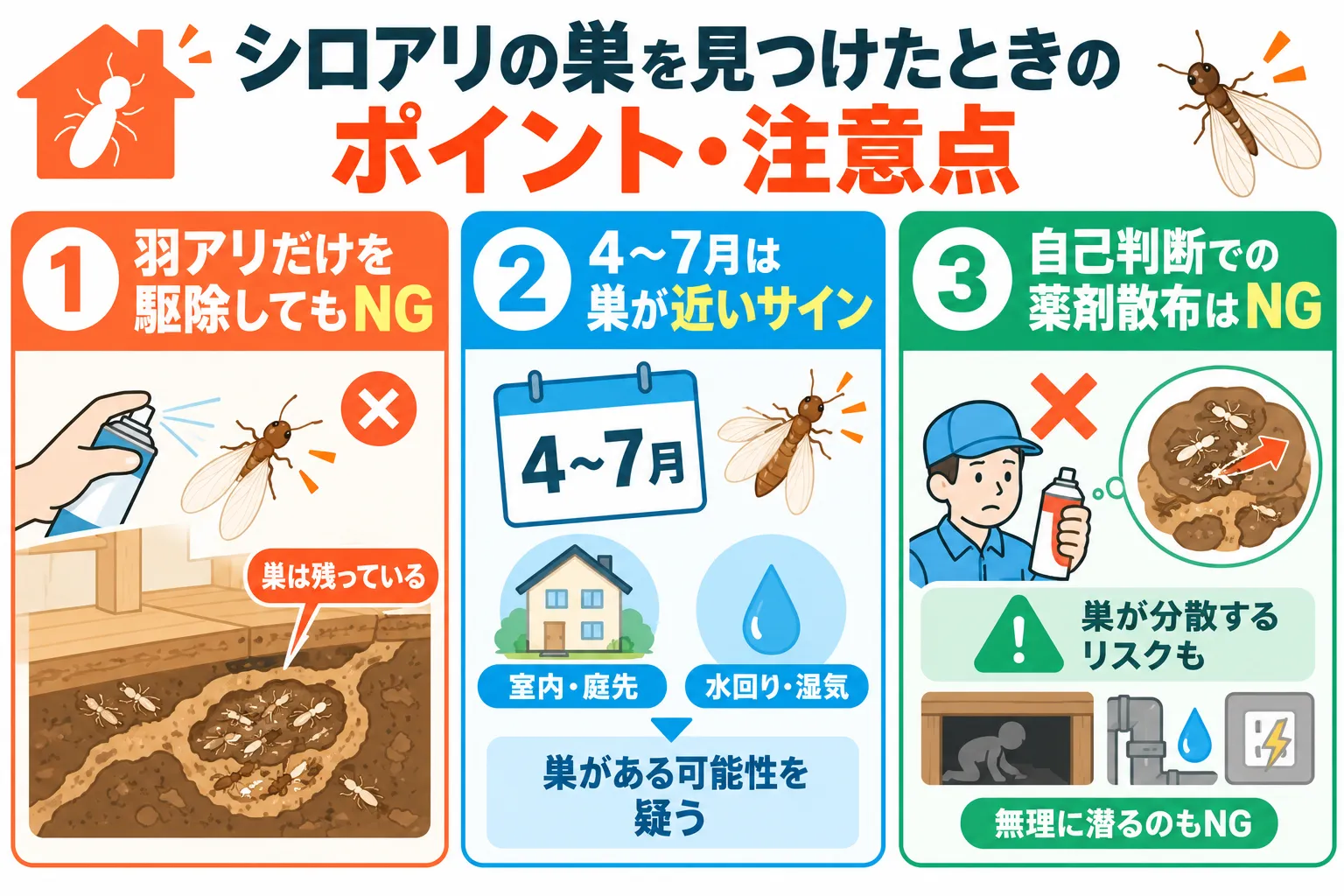 シロアリの巣を見つけた時の注意点