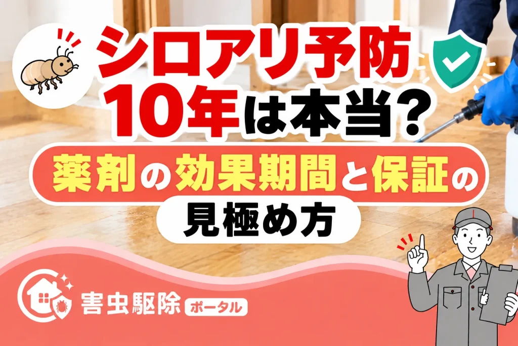 シロアリ予防10年は本当？薬剤の効果期間と保証の見極め方