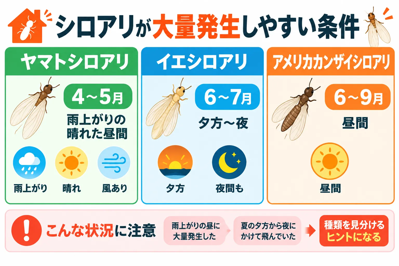 シロアリが大量発生する条件の図解