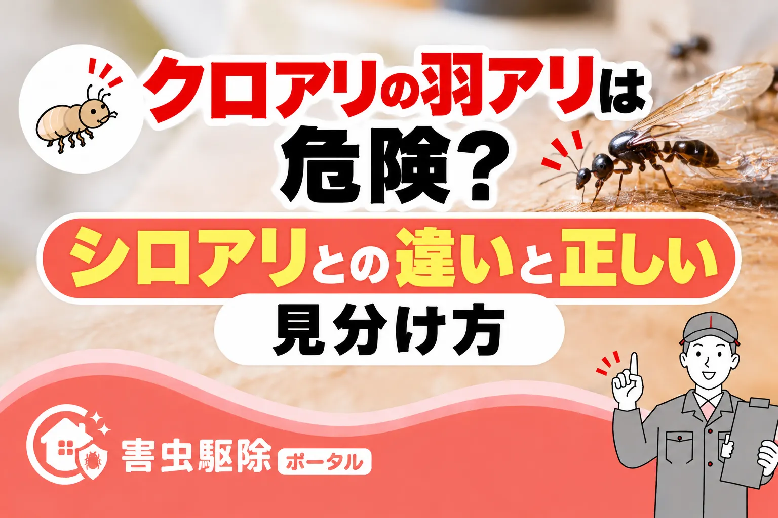 クロアリの羽アリは危険?シロアリとの違いと正しい見分け方のサムネイル