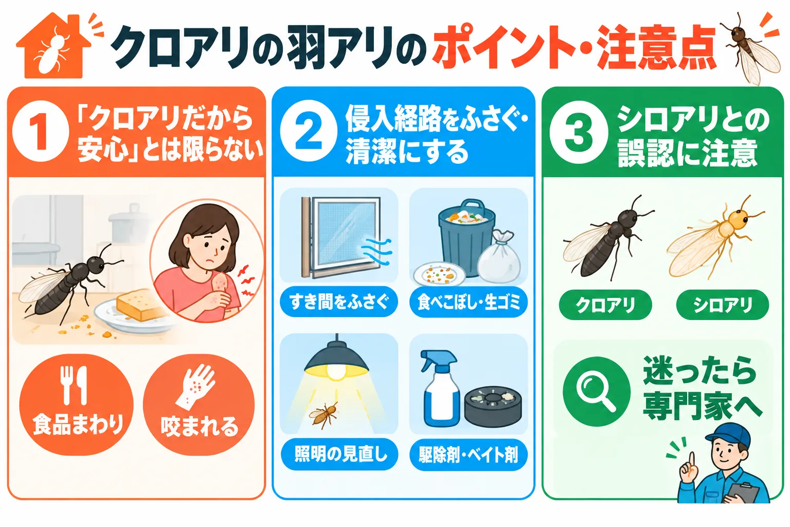 クロアリの羽アリの注意点の図解