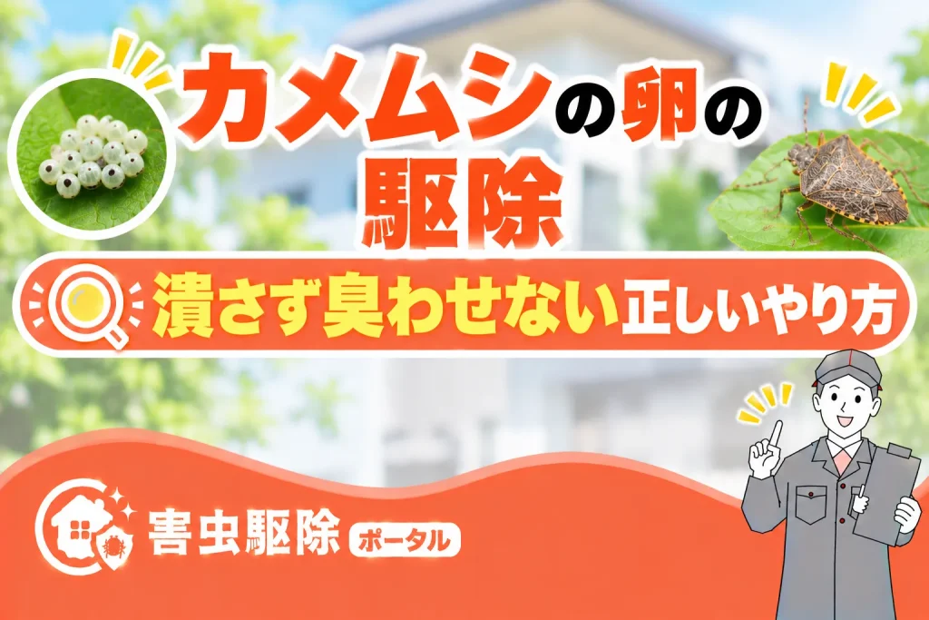 カメムシの卵の駆除｜潰さず臭わせない正しいやり方のサムネイル