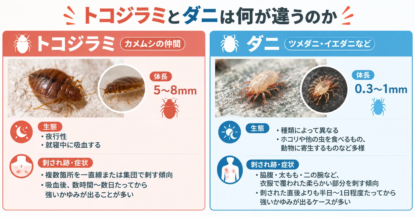トコジラミとダニの違いの図解