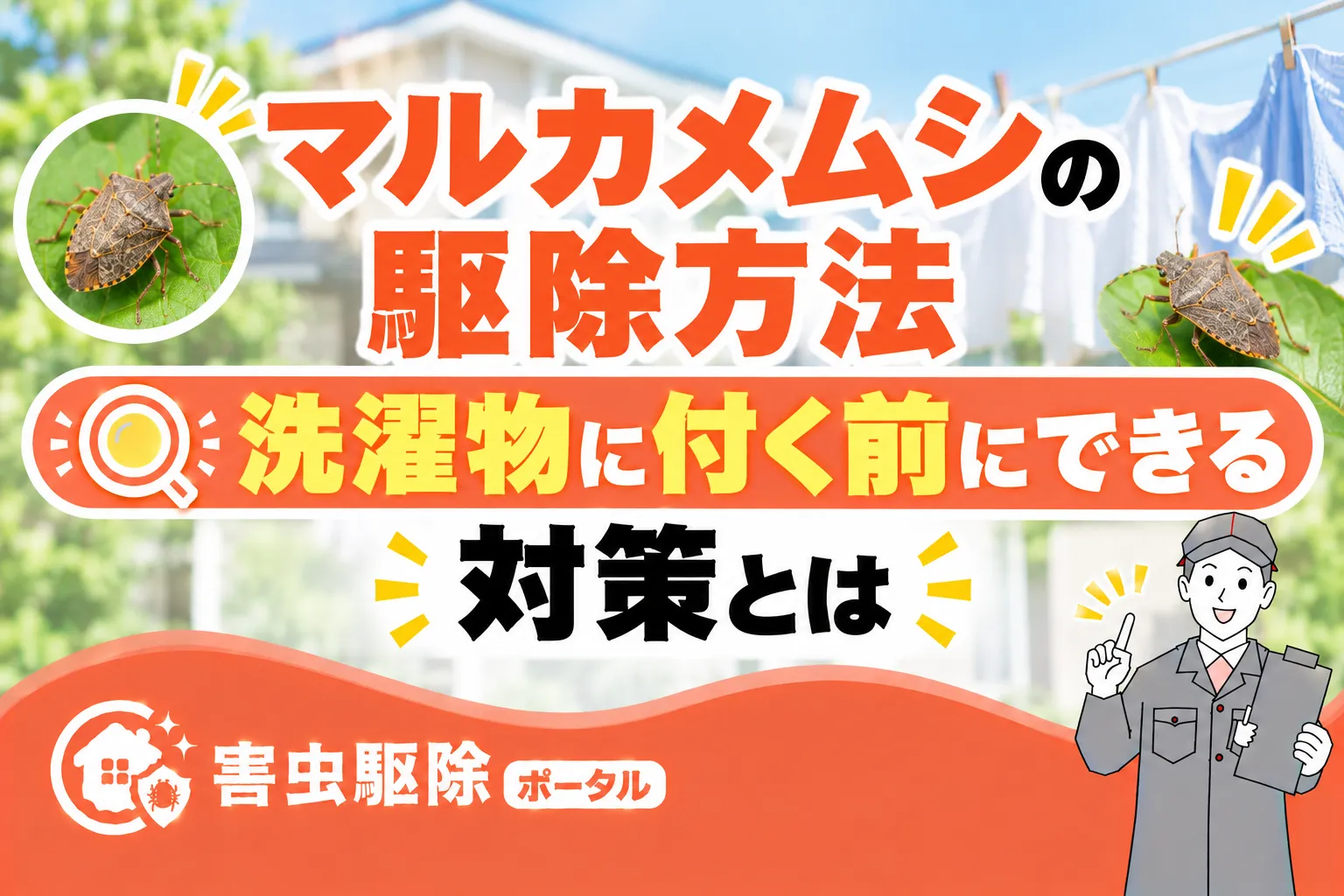 マルカメムシの駆除方法｜洗濯物に付く前にできる対策とはのサムネイル