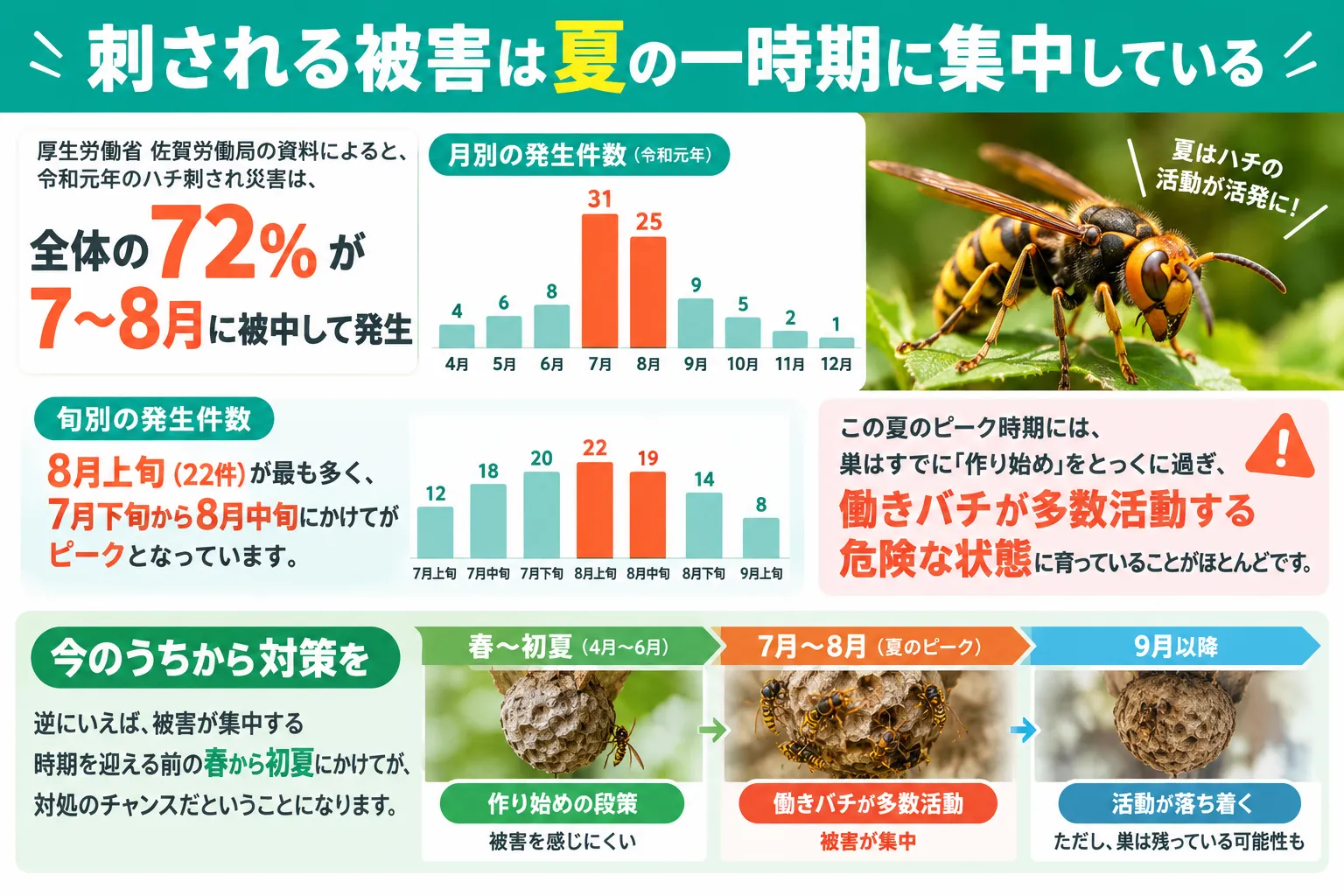 蜂に刺される被害の時期の図解