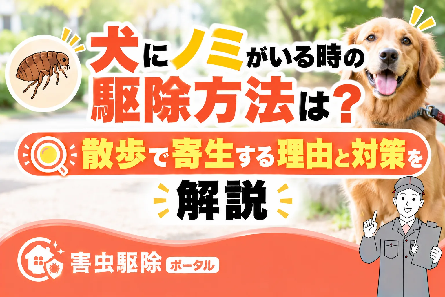 犬にノミがいる時の駆除方法は？｜散歩で寄生する理由と対策を解説のサムネイル