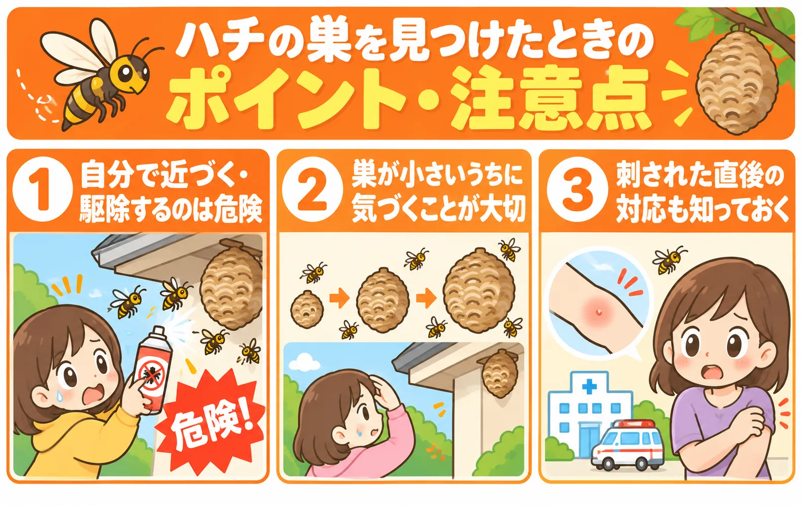 ハチを見つけた時の注意点