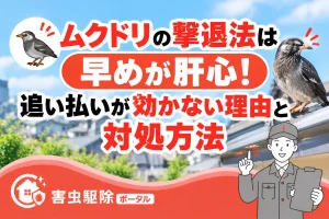 ムクドリ撃退法と対処方法