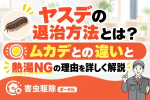 ヤスデの退治方法とは？ムカデとの違いと熱湯NGの理由を詳しく解説のサムネイル