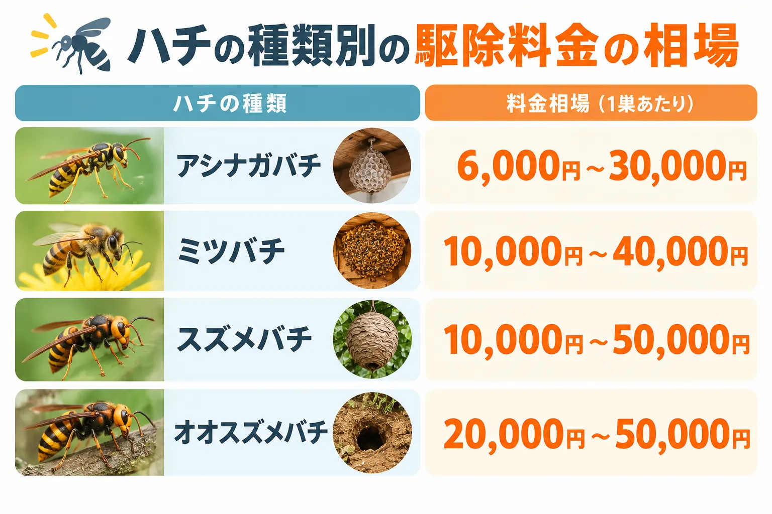 ハチ駆除料金相場インフォグラフィック